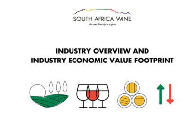 Read more about the article South Africa’s wine and brandy industry – a pillar of economic resilience and growth potential