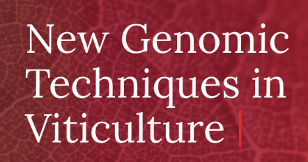 Read more about the article New Genomic Techniques in Viticulture – Challenges, Impacts and Contribution to the Sector