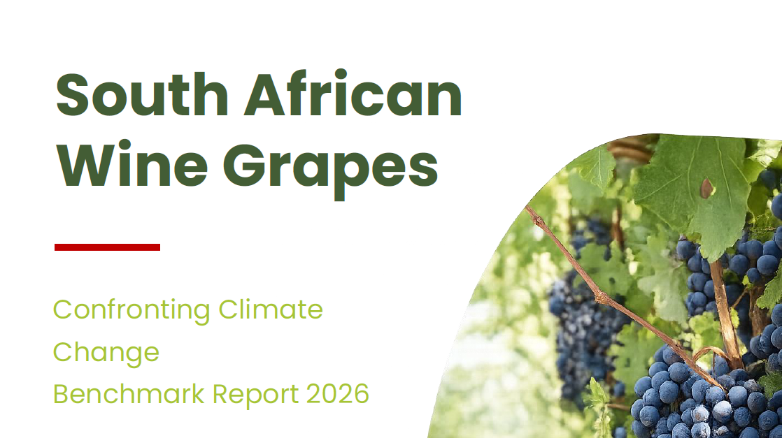 Read more about the article CCC Benchmark Report 2026